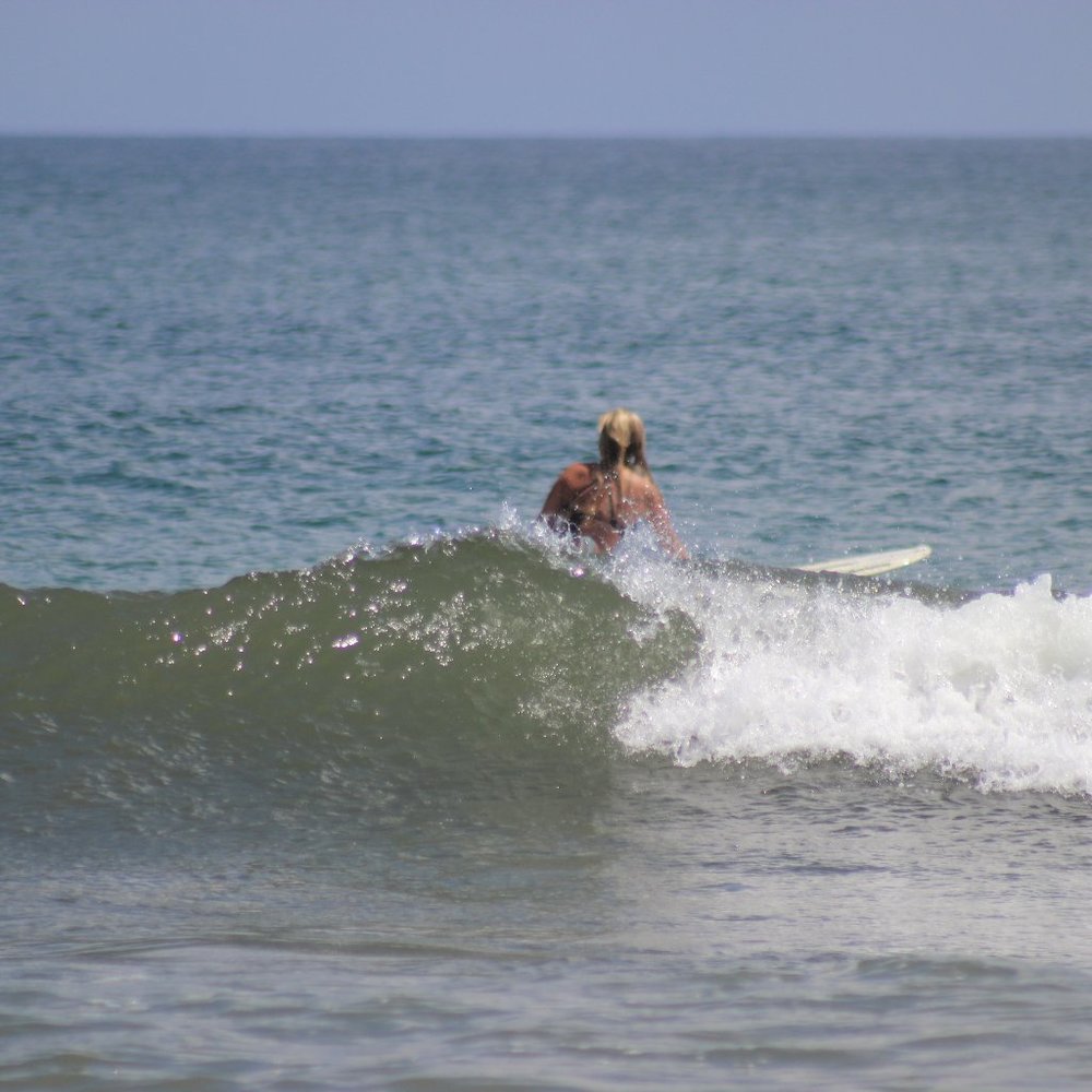 Meet your Posher, Krista